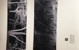 ”Rod Slemmons: Negatives” installation view