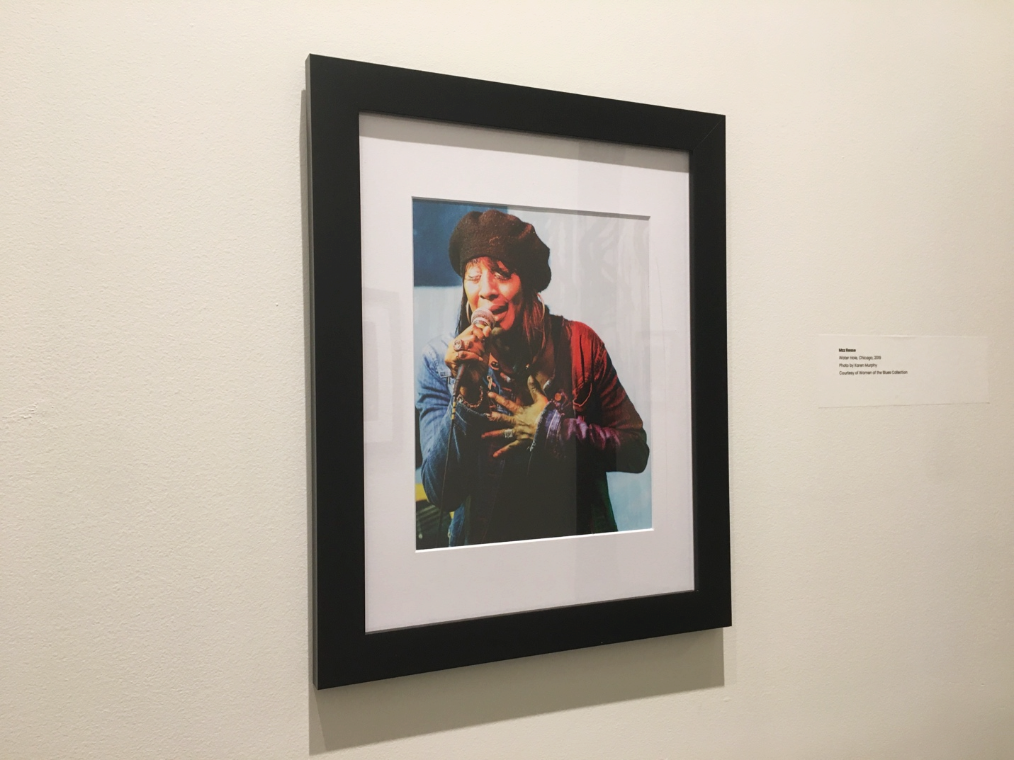 Women of the Blues: A Coast to Coast Collection installation view