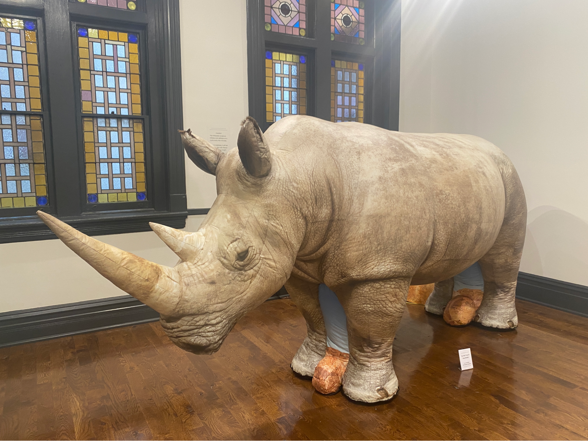 Bring Back The Extinct Northern White Rhino, 2020, Printed Inflatable material, blower machine, and timer, 156’’ x 66” x 48”