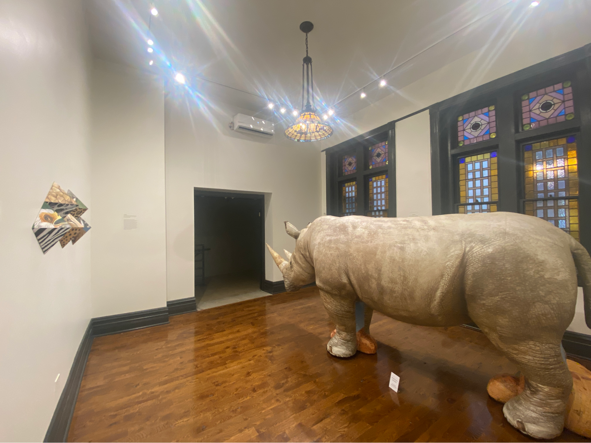 Bring Back The Extinct Northern White Rhino, Installation view