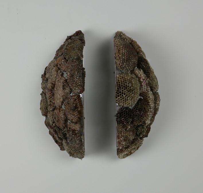image17
